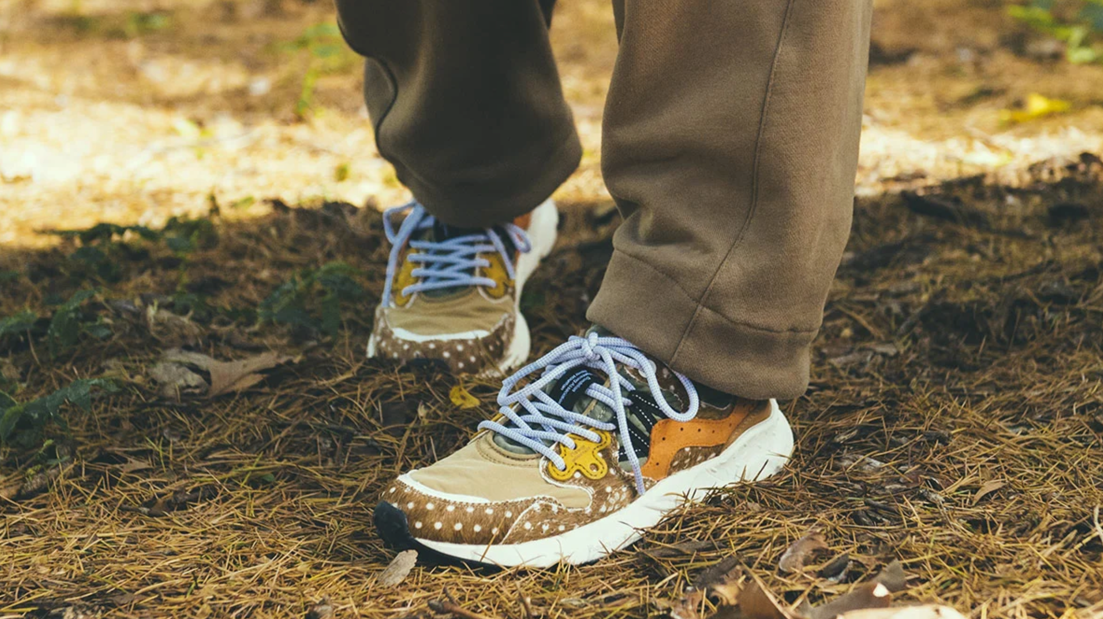 FLOWER MOUNTAIN - DARRAGH MEECHAN