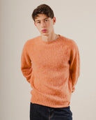 Man in an orange wool knit sweater crewneck jumper on a plain white background